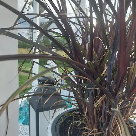 Holiday home Parzenica Z Balia *